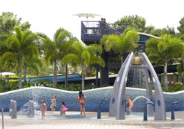 Disney Deluxe Hotels