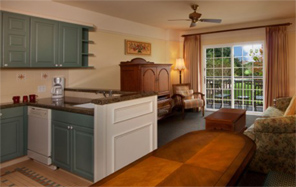 Disney Villas for big families