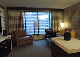 Disney for big families