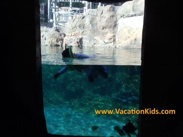 Rainbow Reef is the perfect place to learn how to snorkel. It's a man made coral reef which is home to thousands of colorful tropical fish.