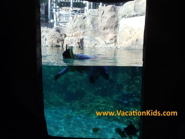 Rainbow Reef is the perfect place to learn how to snorkel. It's a man made coral reef which is home to thousands of colorful tropical fish.