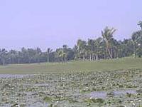 Barcelo Bavaro Palace Family Deluxe