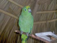 Dreams Punta Cana Activities