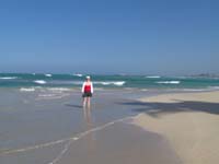 Dreams Resort Punta Cana Reviews