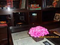 Hard Rock Cancun Hotel Reviews