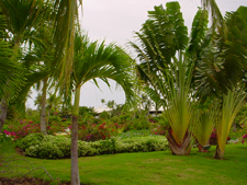 Melia Caribe Tropical Punta Cana