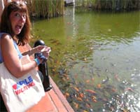 Melia Puerto Vallarta Reviews