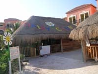 ocean Coral & Turquesa kids club