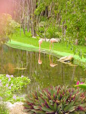 Grand Palladium Colonial