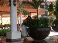 Grand Palladium white Sands