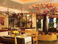 Dreams Palm Beach Punta Cana Restaurants