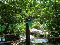 Sandos Caracol Eco Resort & Spa