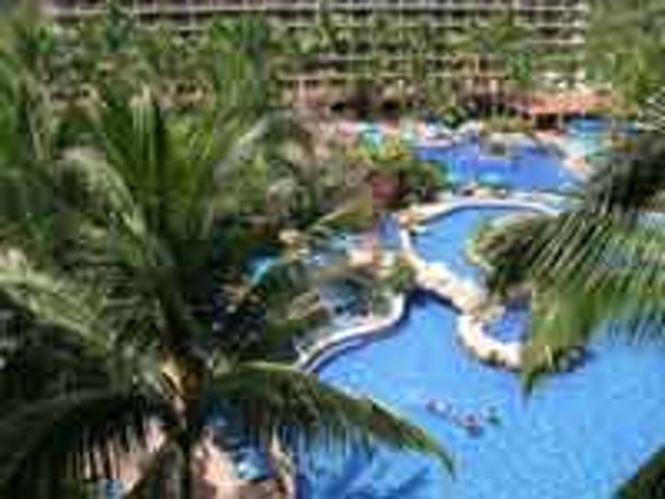 Palms and pools await your family at the Barcelo Puerto Vallarta