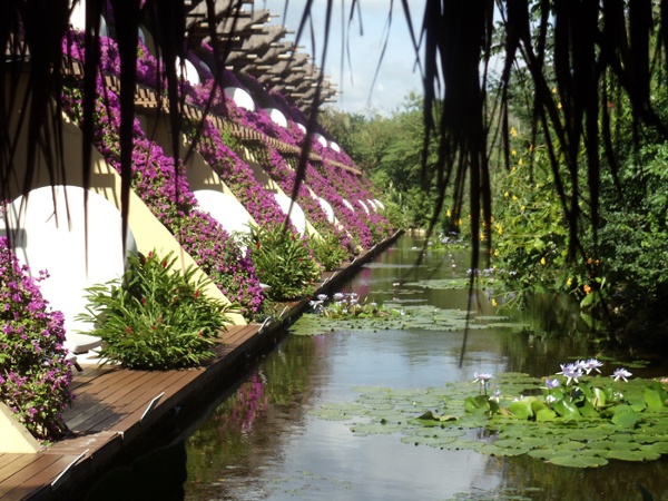 views from the Zen Garden suites at the Grand Velas Riviera Maya