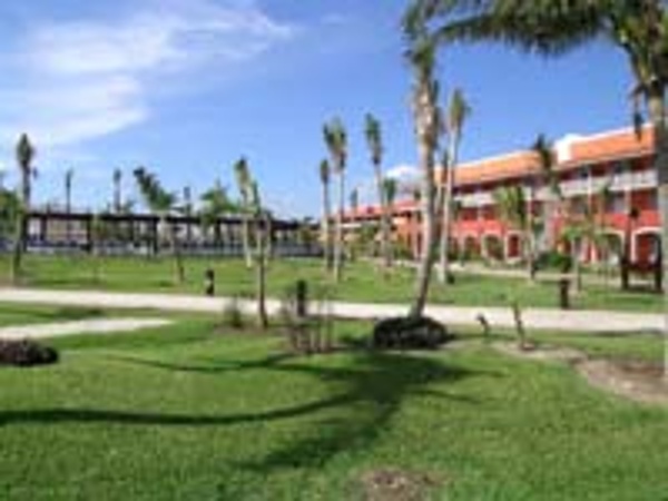 Barcelo Maya Colonial grounds are dotted with tropical palms