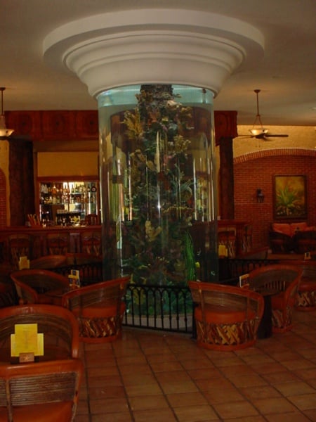 Huge salt water fish tank in the lobby bar