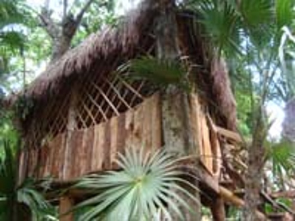 Sandos Playacar lets kids enjoy the nature that surrounds them