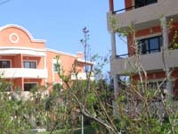 Grand Palladium Kantenah has 3 story buildings without elevators surrounded by lush jungle foliage.