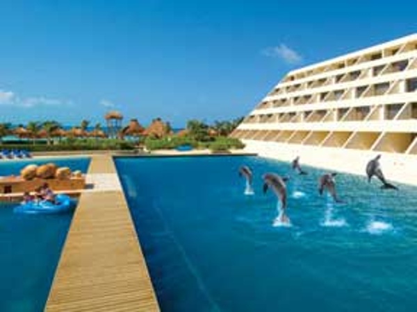 Dolphins swimming by the Dolphin view rooms at Dreams Cancun Resort