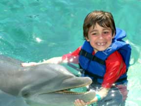 Delphinius Swim with the dolphins right at the lagoon at Dreams Hotel Cancun