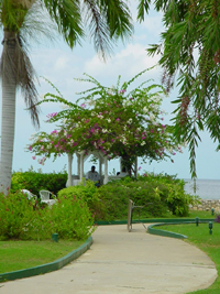 Holiday Inn Sunspree Montego Bay offers Couples a very romantic beach side gazebo for a beautiful destination wedding fit for the entire family