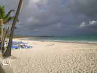 Your family can take LONG walks on the beach at Now Larimar Punta Cana Resort