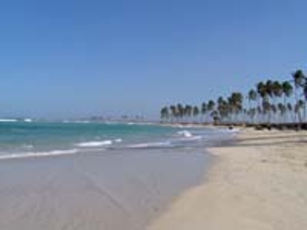 Swaying palm trees dot the beach giving shade to the white sands at Dreams Punta Cana resort