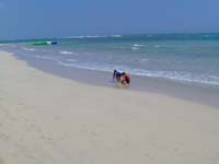 Gorgeous beach at Dreams Punta Cana Resort goes on for Miles