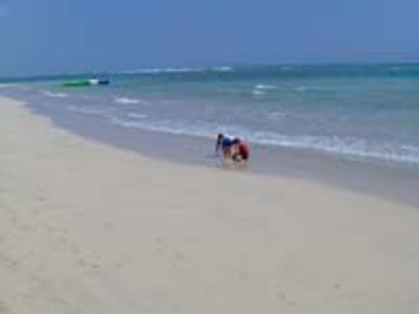 Gorgeous beach at Dreams Punta Cana Resort goes on for Miles