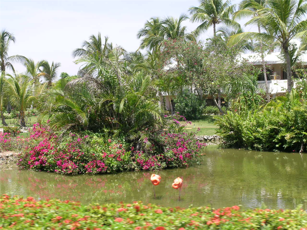 The Melia Punta Cana Resort complex is surrounded by lush tropical gardens