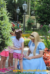 Disney Vacation Details