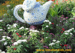 Disney Vacation Details