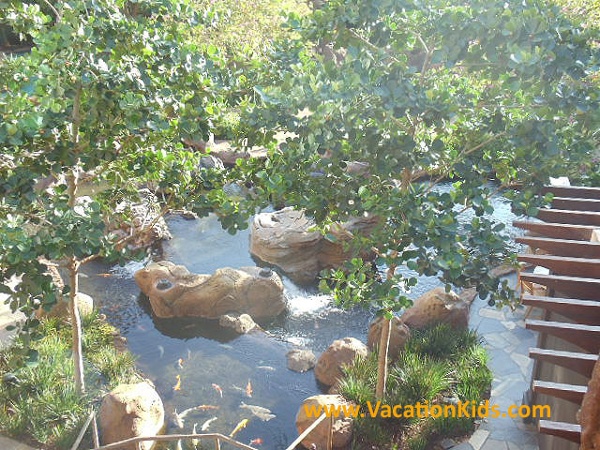 Koi fish ponds grace the landscape and grounds of Disney's Aulani Resort