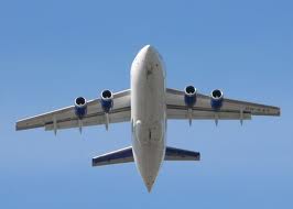 family cruise guide for beginners