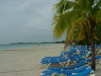 Beaches Negril Reviews