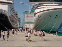 Cost of family cruises