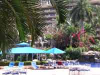 Enjoy the sun or shade at the Barcelo Puerto Vallarta pool