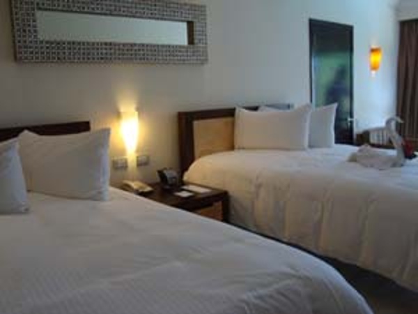 comfortable and sophisticated rooms await your family at the Sandos Playacar Beach Resort & spa