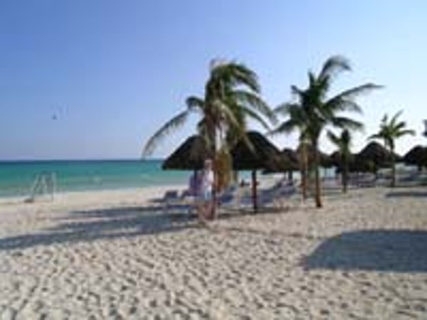 Guest can enjoy a gorgeous beach and gentle waves at the Sandos Playacar Beach Resort