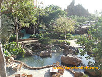 Disney Aulani Pool