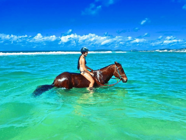 Family Vacations for Horse Lovers
