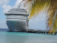 cruise check in times