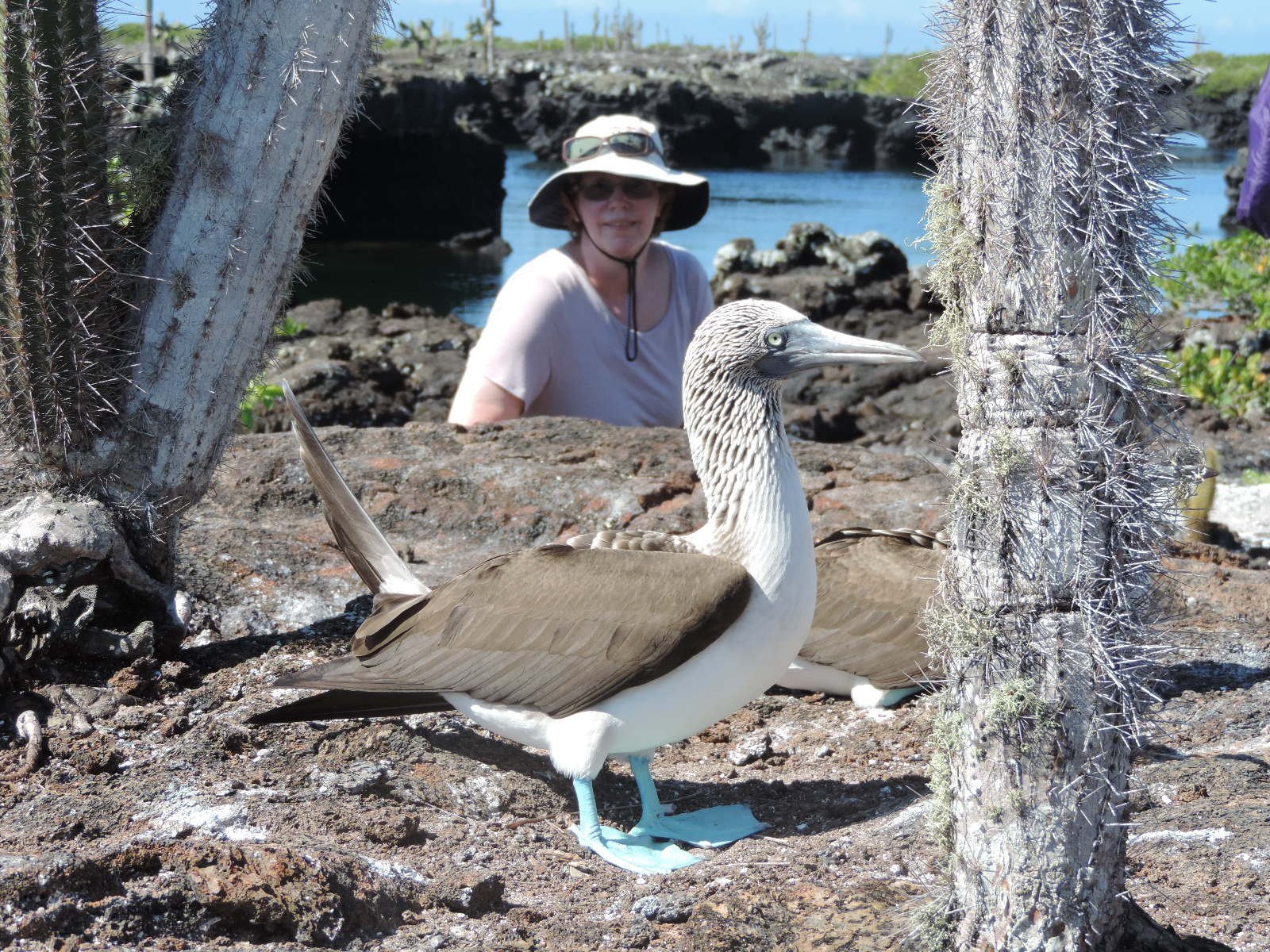 educational vacations for families to the Galapagos islands