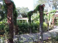 Sandos_Playacar_wed6_2015