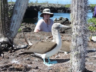 FAQ for family vacations to the Galapagos